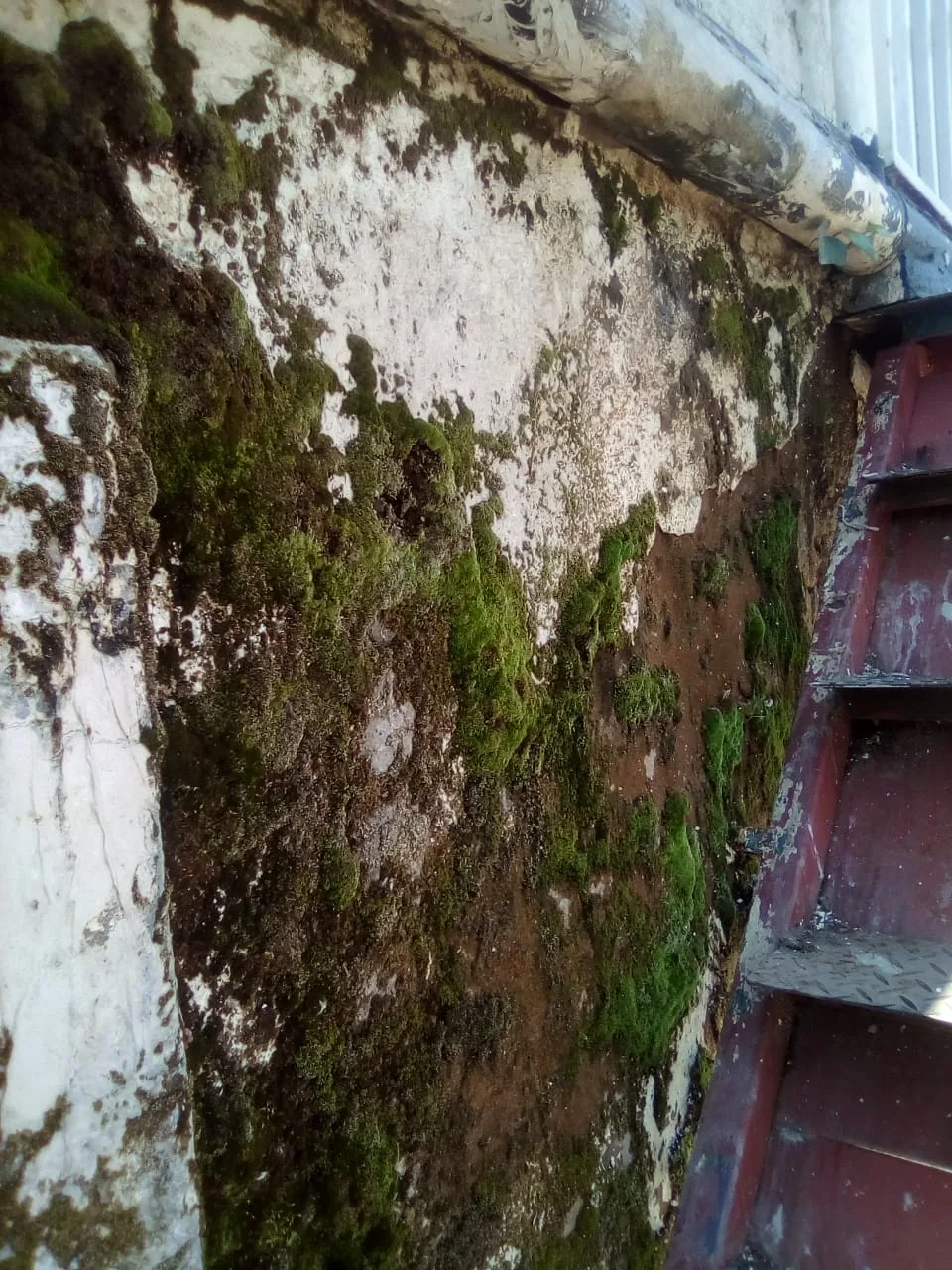 Damp, Water Damage And Plumbing-Related Moisture Damp, Water Damage and Plumbing-Related Moisture