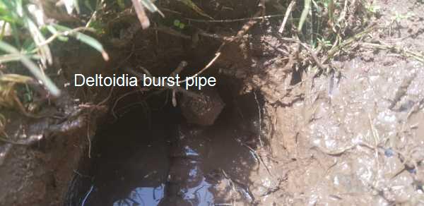 Deltoidia burst pipe repair