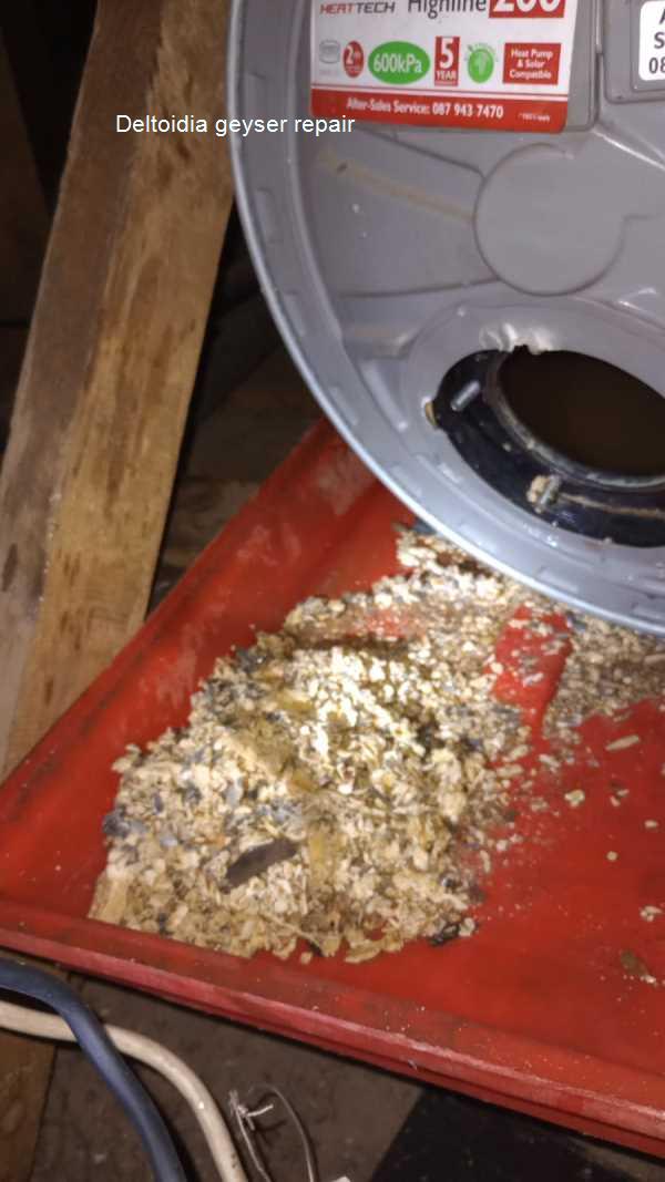 Deltoidia geyser repair