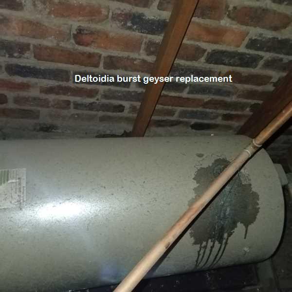 Deltoidia burst geyser replacement including guarantees and free call out fees all hours including weekends and public holidays.