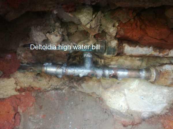 Save big on your water bill in Deltoidia