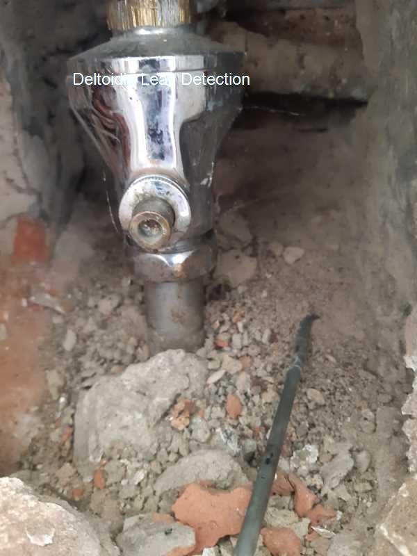 Deltoidia Leak detection