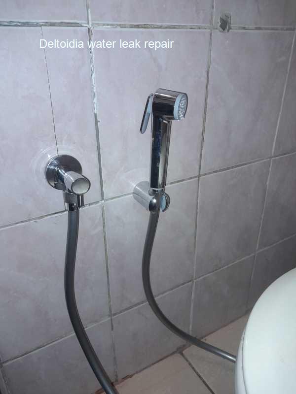 Deltoidia water leak repair at all hours including public holidays by qualified plumbers.