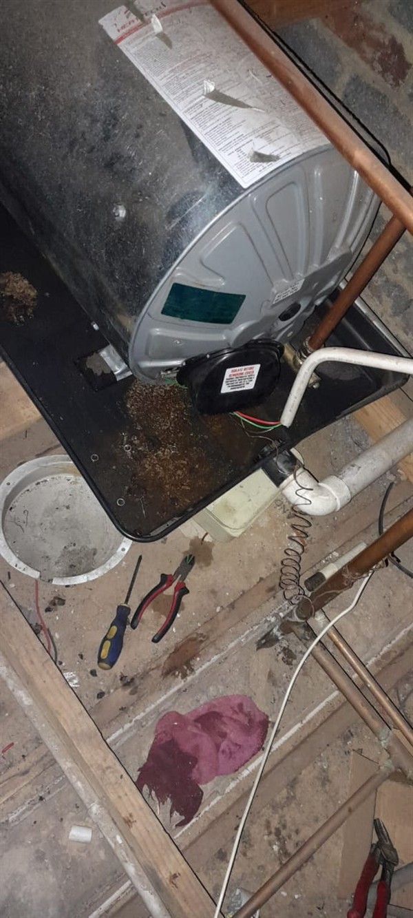 Non-stop running everywhere from burst geyser in Despatch