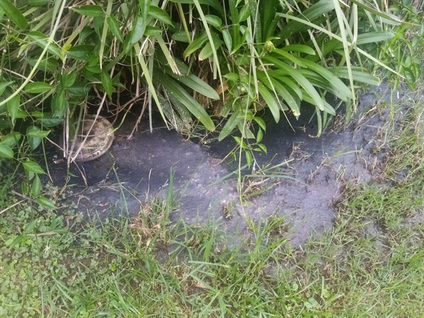 Drain repair completed after blockage removal