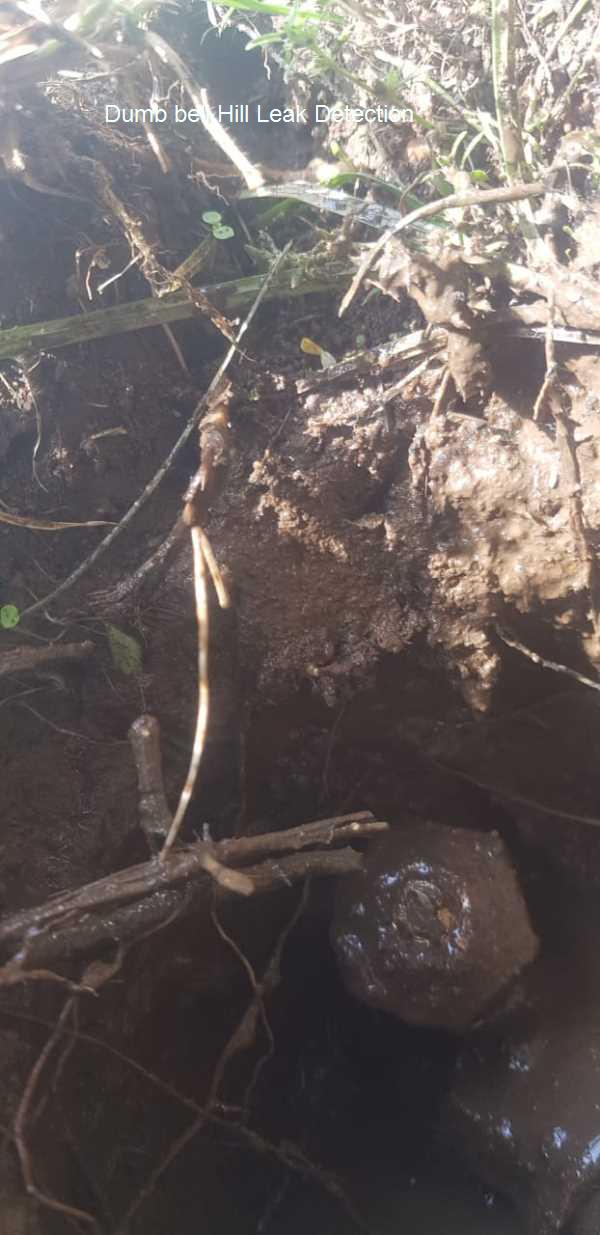 Dumb bell Hill Leak detection