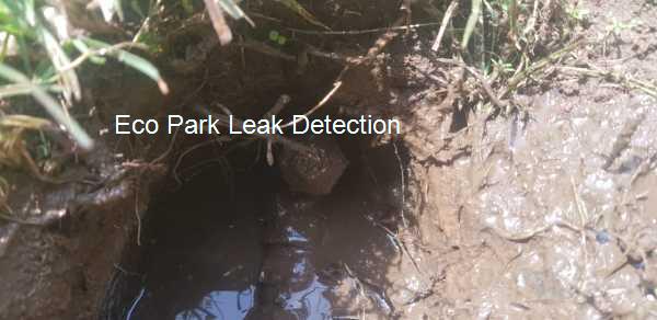 Eco Park Leak detection