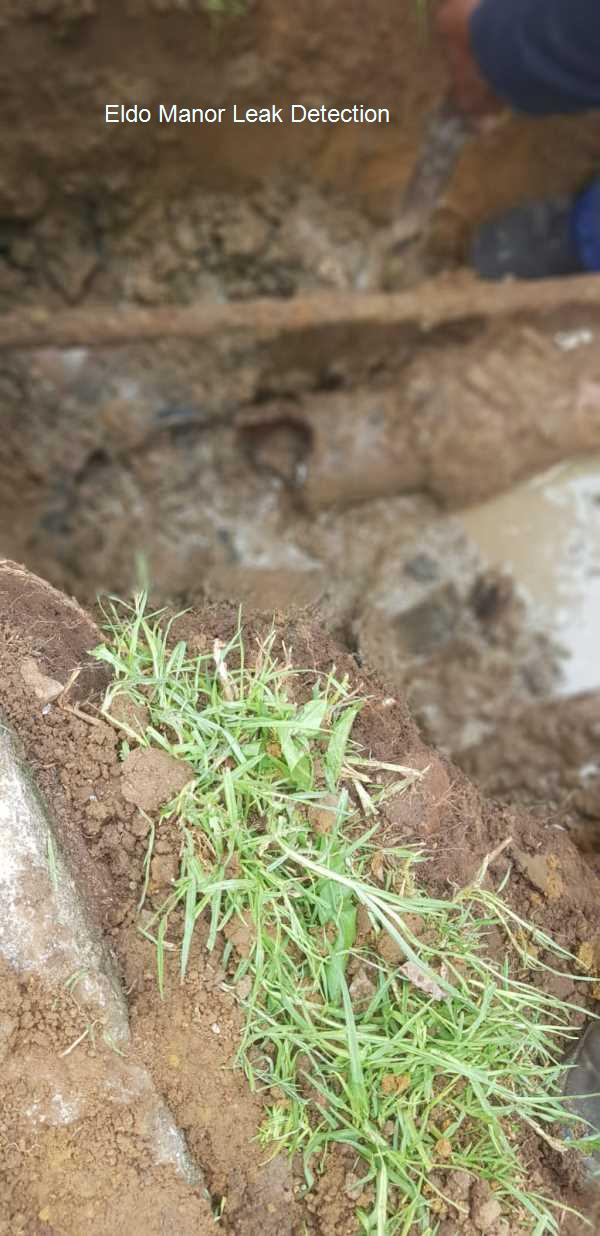Eldo Manor Leak detection