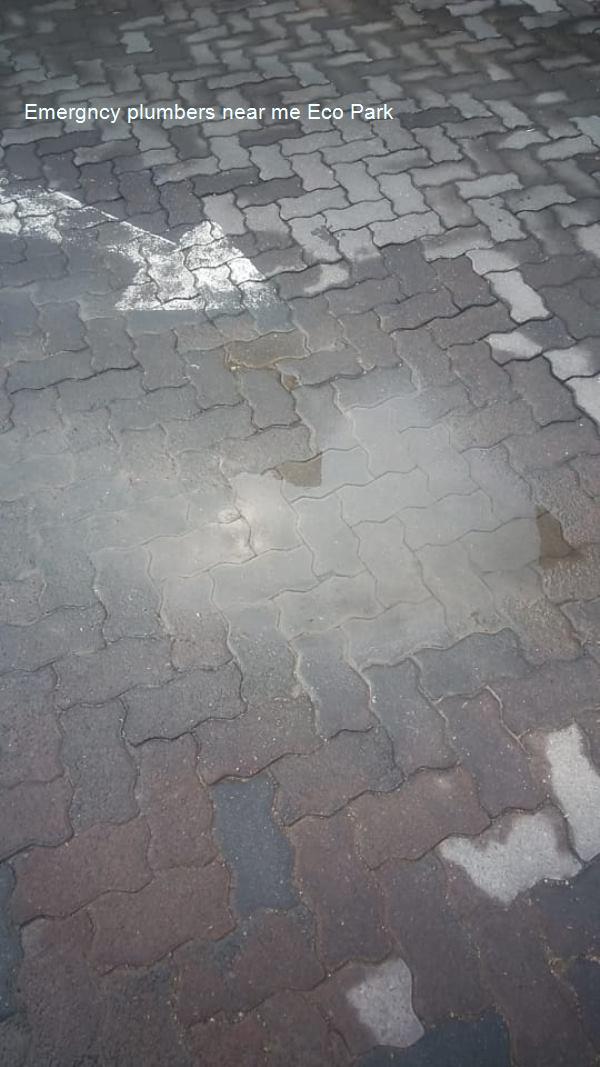 Emergncy plumbers near me Eco Park