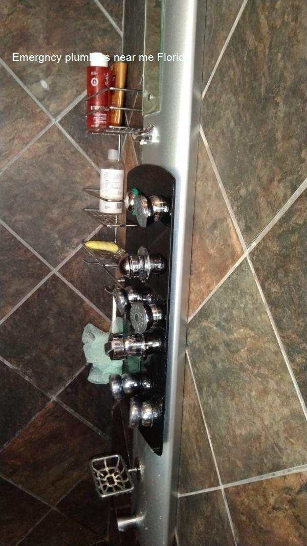 Local Florida plumbers service image for homes and businesses