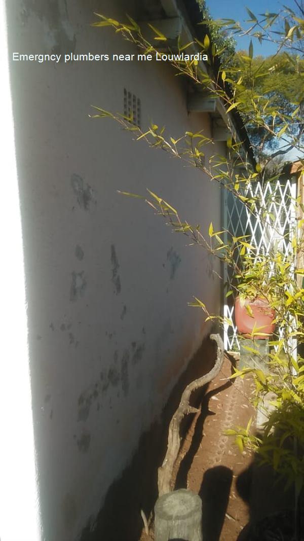 Emergncy plumbers near me Louwlardia