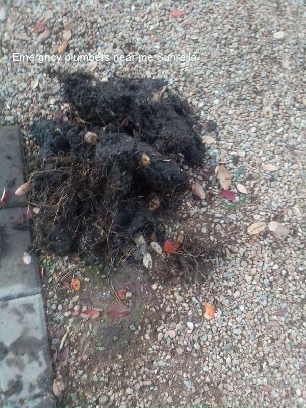 Emergncy plumbers near me Sunrella