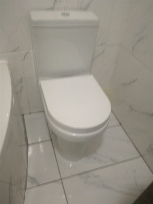 Clean toilet drainage system after blockage removal