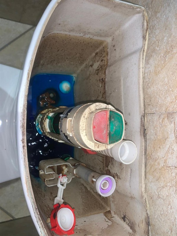 Faulty geyser element and thermostat repair in Pollak Park with open Geyser and visible components