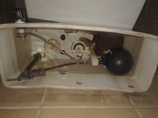 Faulty geyser element and thermostat repair in Petsvale with open Geyser and visible components