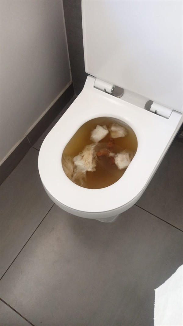 Thorough cleaning of blocked toilet