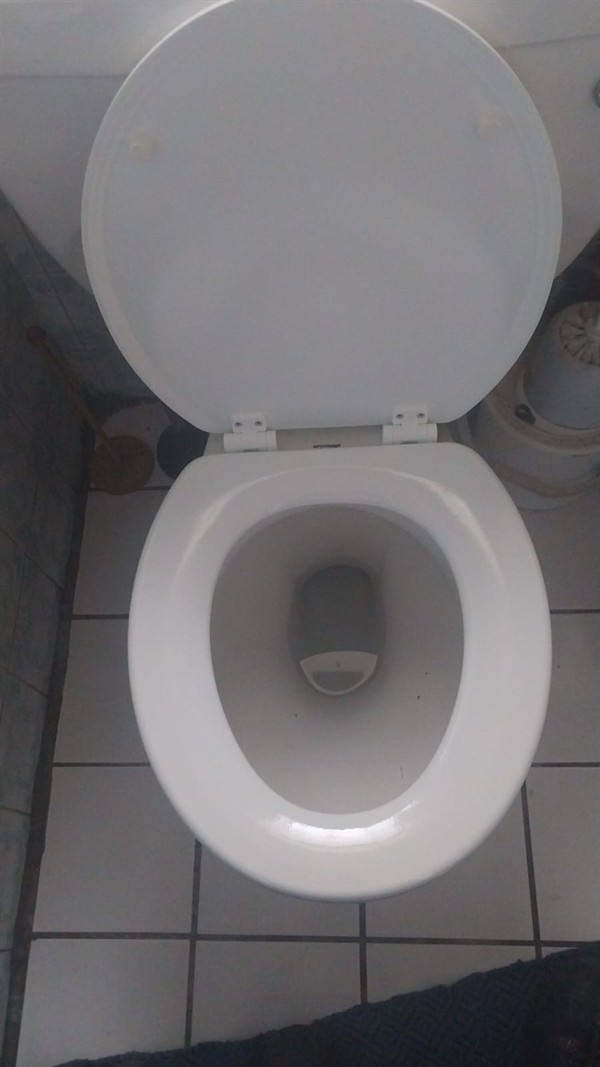 Persistent clog in toilet during cleaning