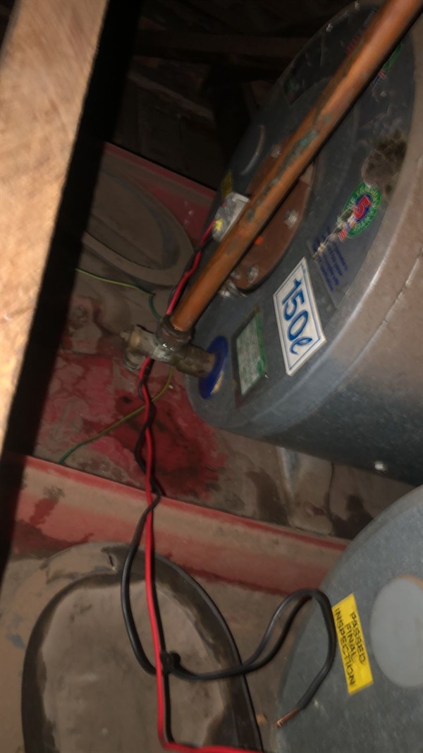 Gushing water making area wet from burst geyser in Montana Gardens