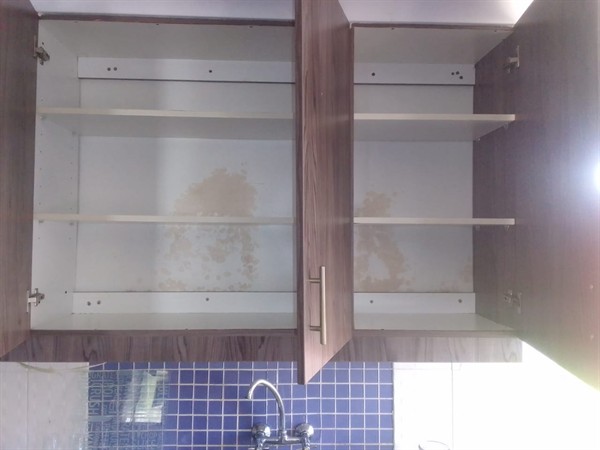 Developing damp patches affecting wall in Lynnwood Ridge