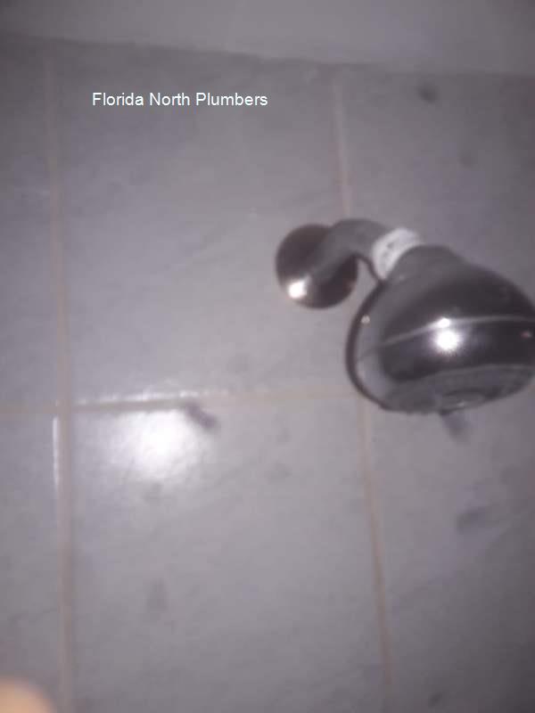 Florida North Plumbers service image for homes and businesses