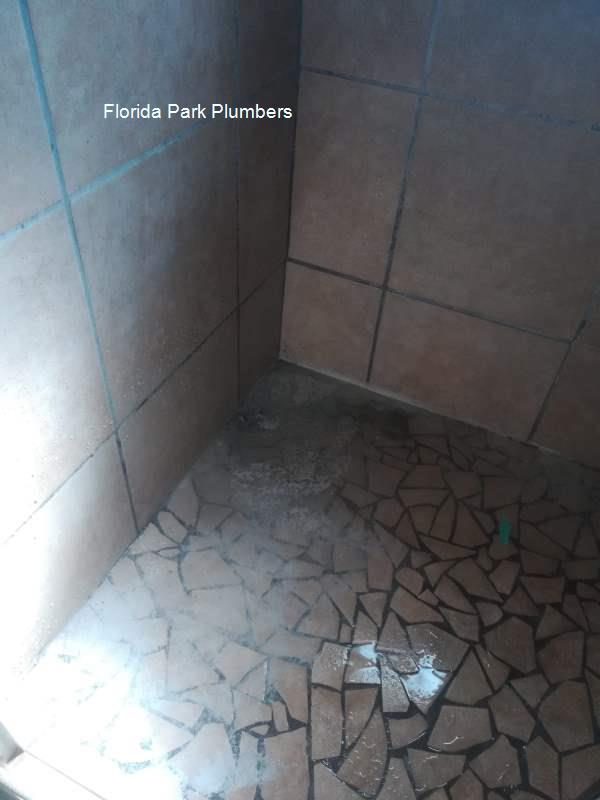Florida Park emergency plumbers offering free call out fees