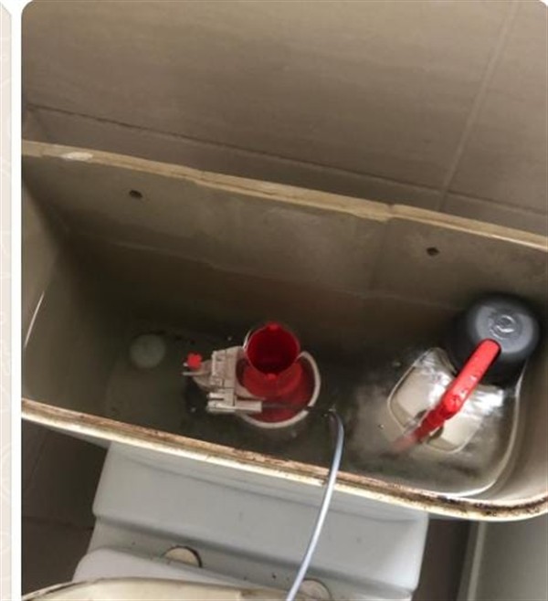 Faulty geyser element and thermostat repair in Dancornia with open Geyser and visible components