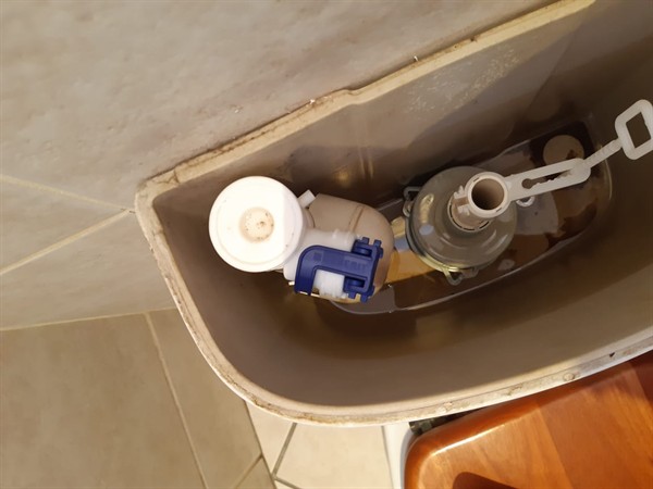 Open geyser showing heating element and thermostat repair work in Northvale with exposed wiring and internal components