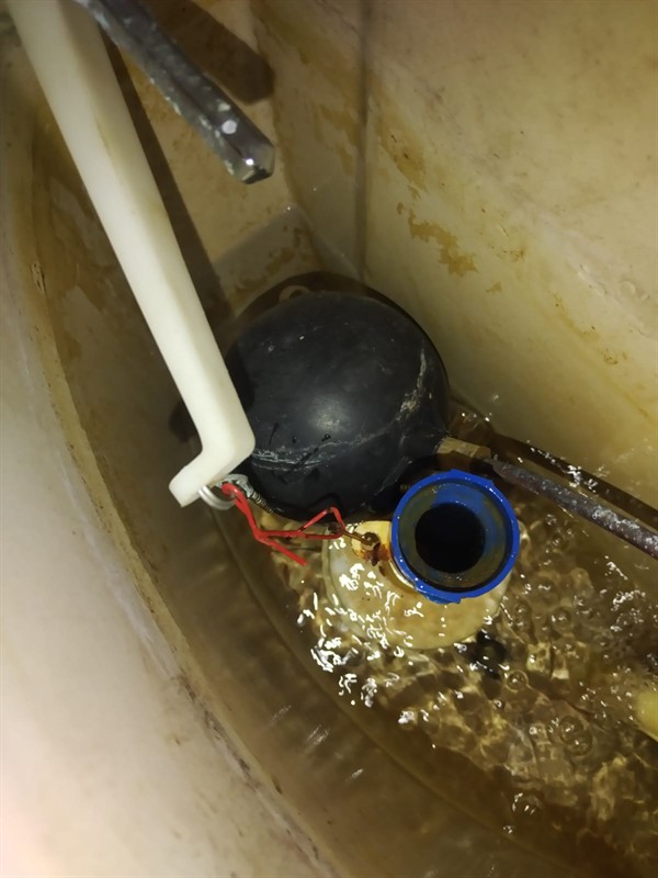 Open hot water geyser during thermostat and element repair in Randgate with internal components visible