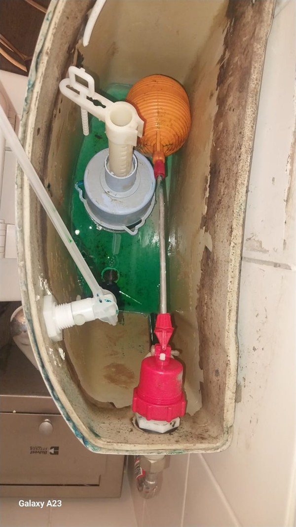 Open hot water geyser during thermostat and element repair in Queens Haven with internal components visible