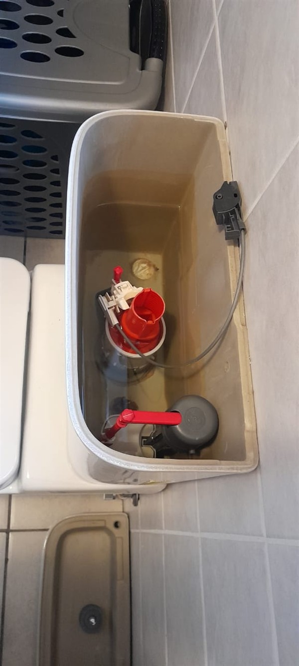 Technician repairing open geyser element and thermostat in Pretoria CBD with exposed wiring and heating components