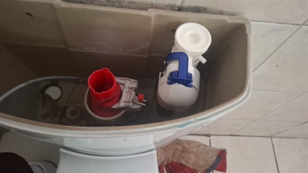 Faulty geyser element and thermostat repair in Selcourt with open Geyser and visible components