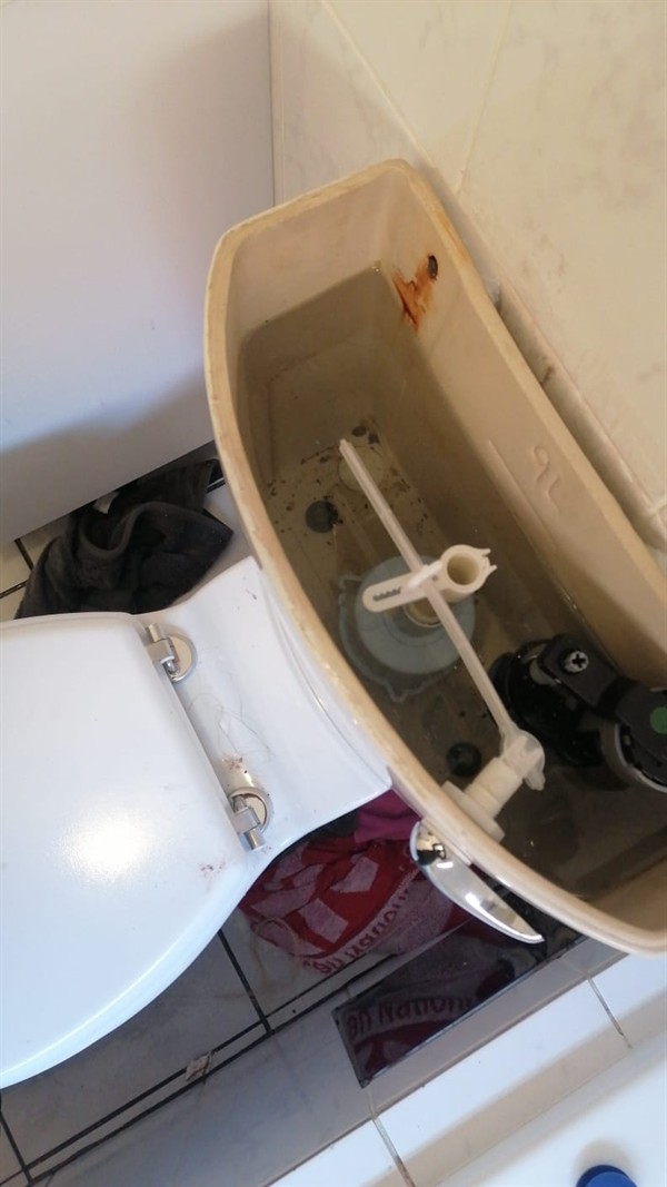 Ceiling mounted geyser opened during element and thermostat repair in Wildborsdale showing internal wiring