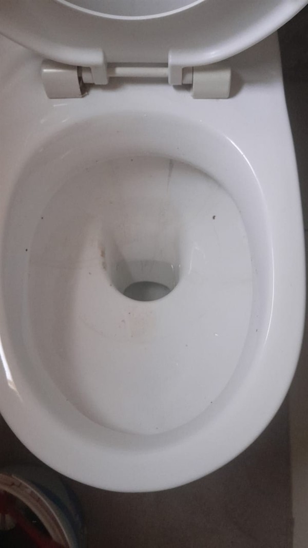 Hands performing repair on blocked toilet