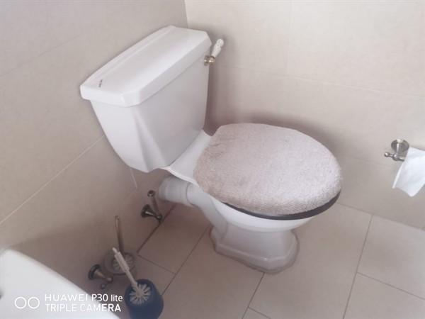Clog fix on toilet