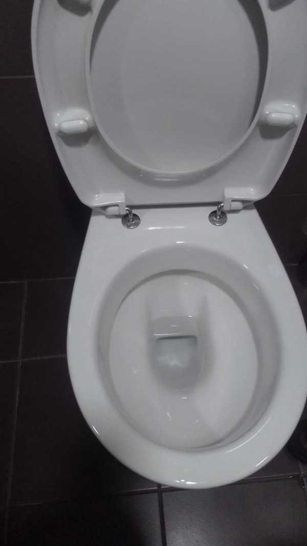 Heavy sludge blocking toilet