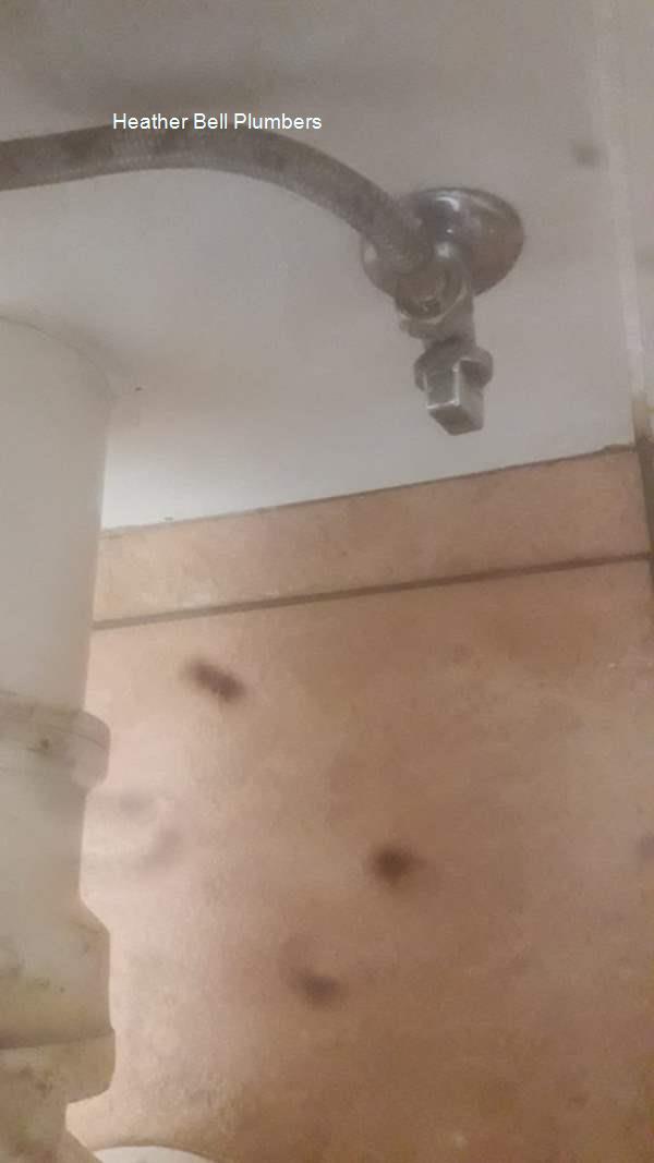 Heather Bell Plumbers service image for homes and businesses