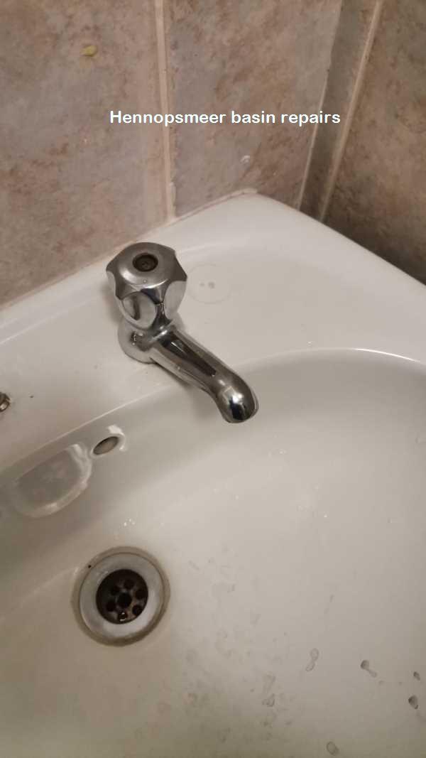 Hennopsmeer basin repairs