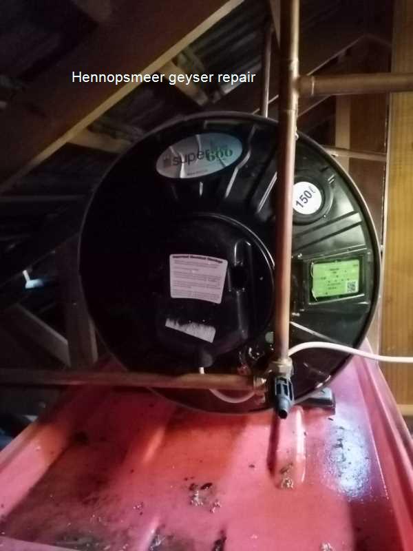 Hennopsmeer geyser repair