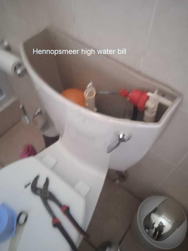 Cut your high water bill in Hennopsmeer