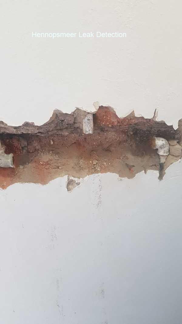 Hennopsmeer Leak detection