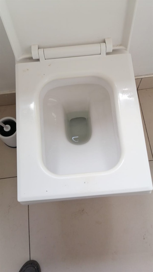 Quick blockage clearance on toilet