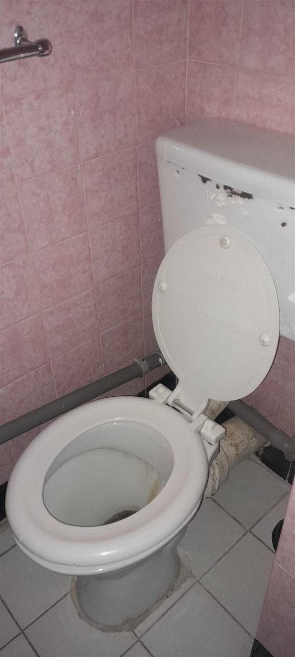 Clean toilet after blockage restoration