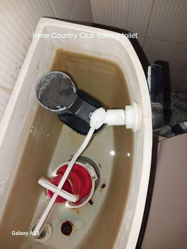 Leaking toilet in Irene Country Club. Toilet leaks can disrupt your daily routine and create stress. Our dedicated team specializes in quick repairs that resolve leaks and keep your bathroom functional. Call us for expert plumbing solutions!