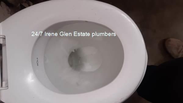 All hour plumbers in Irene Glen Estate repairing a plumbing system
