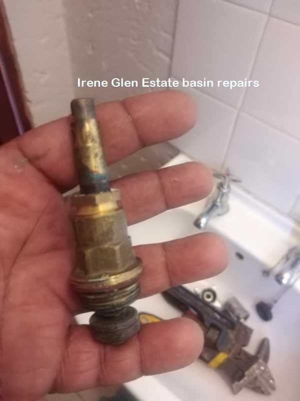 Irene Glen Estate basin repairs