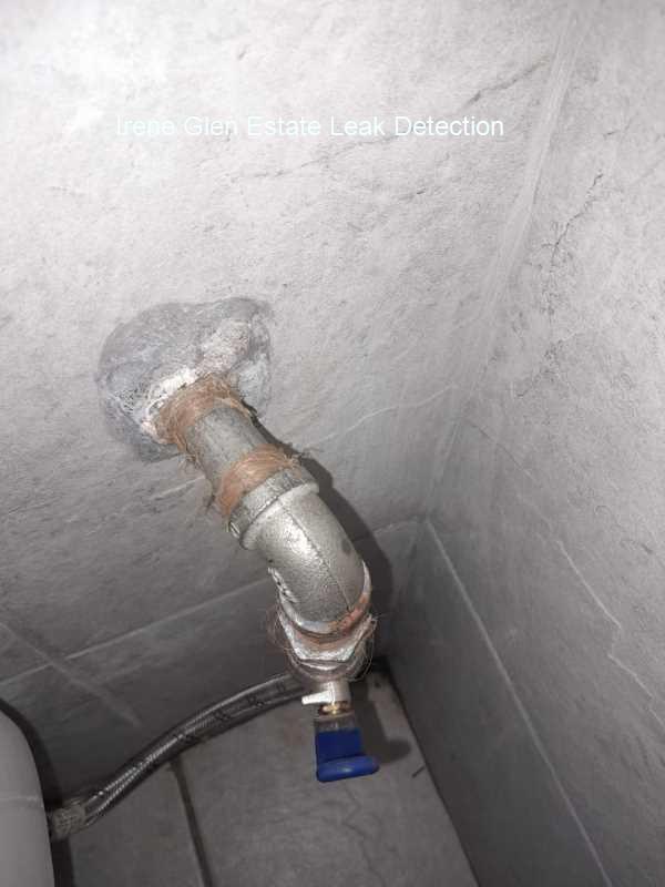 Irene Glen Estate Leak detection