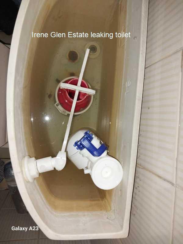 Leaking toilet in Irene Glen Estate. Toilet leaks can disrupt your daily routine. Our professional plumbers provide efficient repairs to resolve leaks and ensure your bathroom remains functional. Trust us for expert plumbing solutions today!