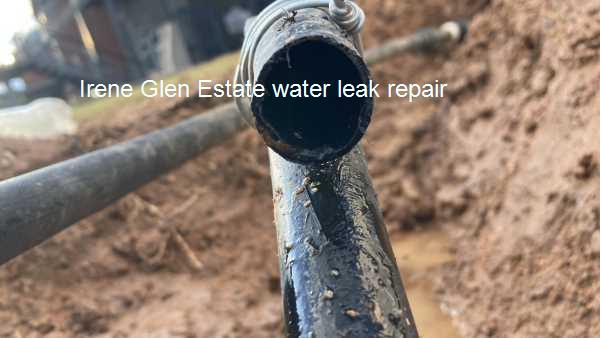 Irene Glen Estate water leak repair at all hours by qualified plumbers with many years of experience.