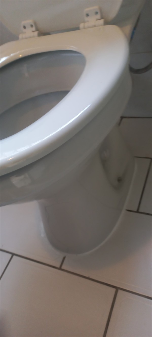 Smooth toilet after blockage removal