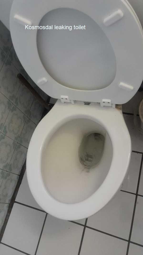 Leaking toilet in Kosmosdal. Toilet leaks can disrupt your life and create stress. Our dedicated team provides prompt service to diagnose and fix issues, ensuring your bathroom remains functional. Contact us for reliable help!
